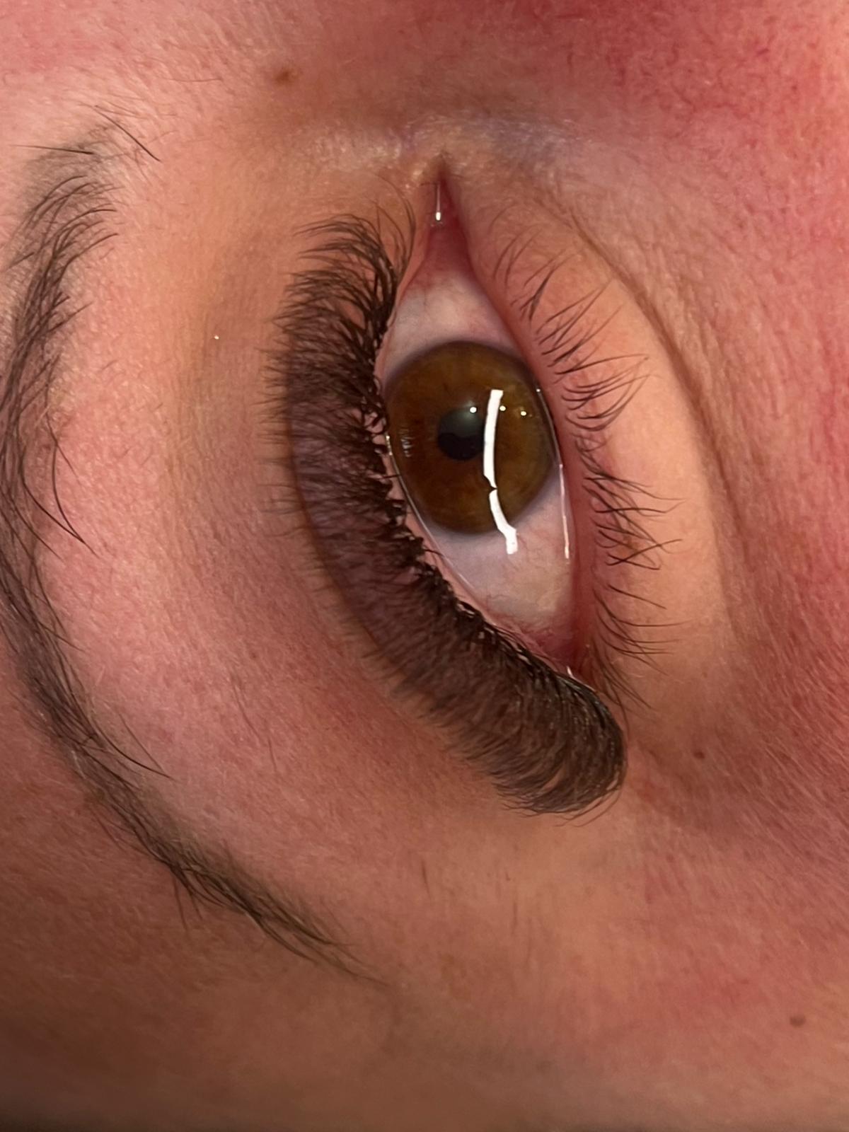 Brown 6D Clover Lash Mixed Tray