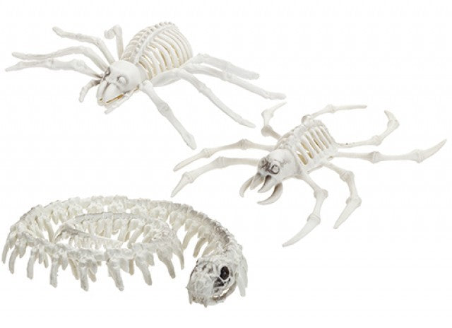 Assorted Skeleton Animals