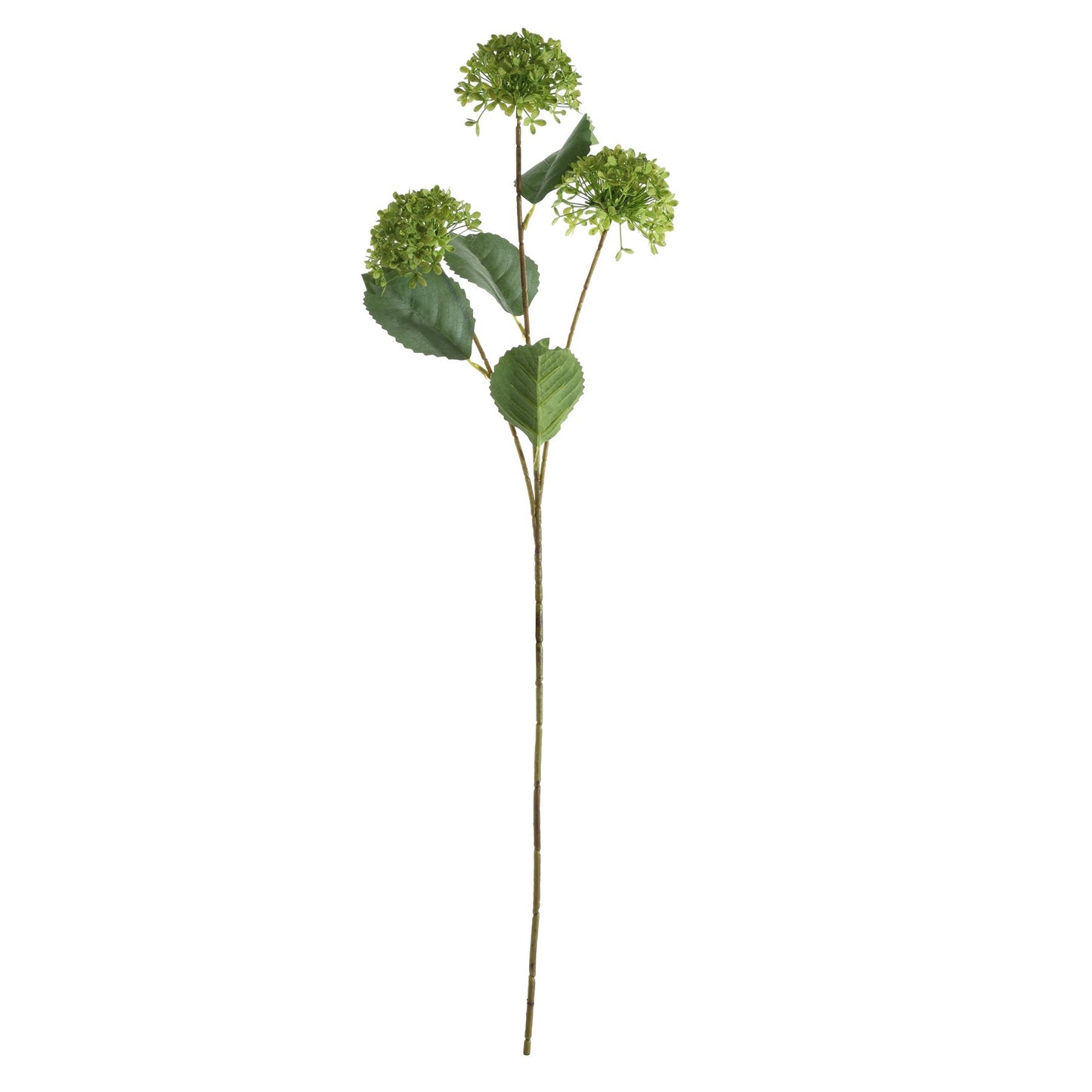 Essential Green Viburnum Spray