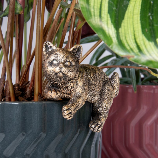 Plant Pots Pals - Cat