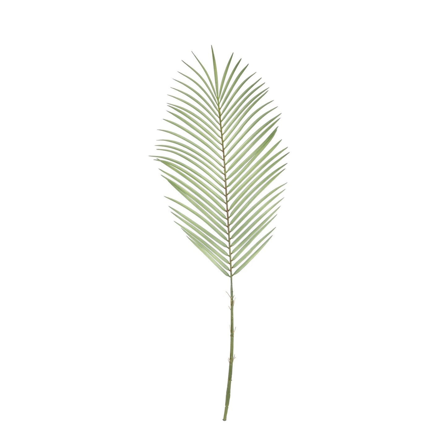 Botanica Areca Palm Frond (74cm)