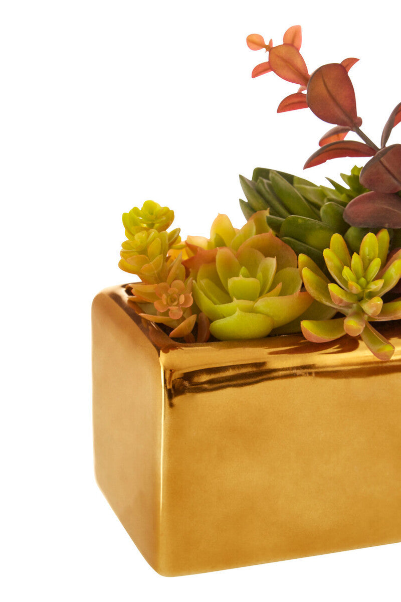 Mixed Succulents with Gold Ceramic Pot | Fiori
