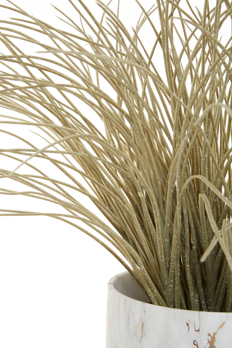 Grass Plant in a Pot | Fiori