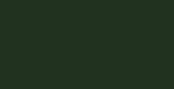 Moss Green Euro-Aerosols Spray Paint