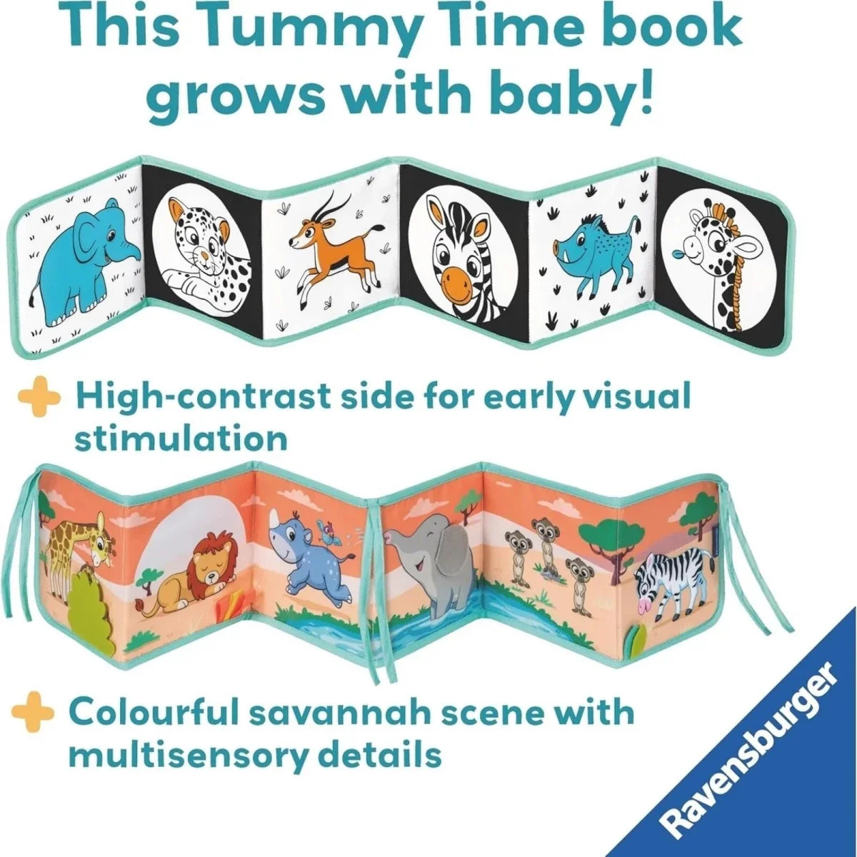 Play+ Tummy Time Wild Animals Book