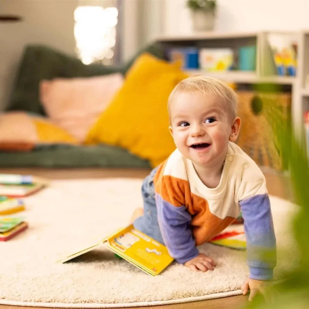 Play+ Ready Steady Shake Rattle Book - First Animals