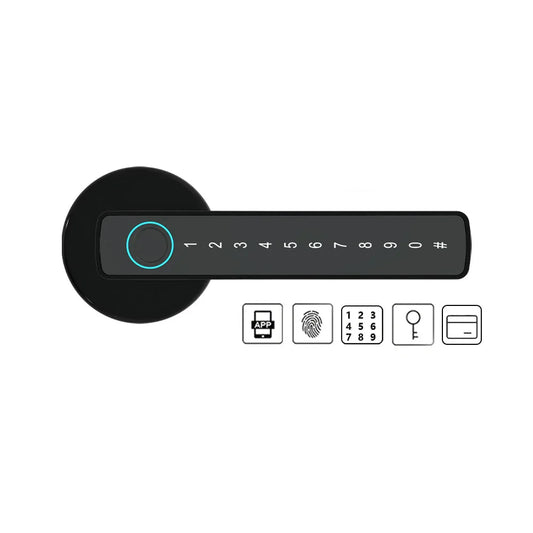 Digital Electronic Lock with Password/Key/IC Card/ Smart Life