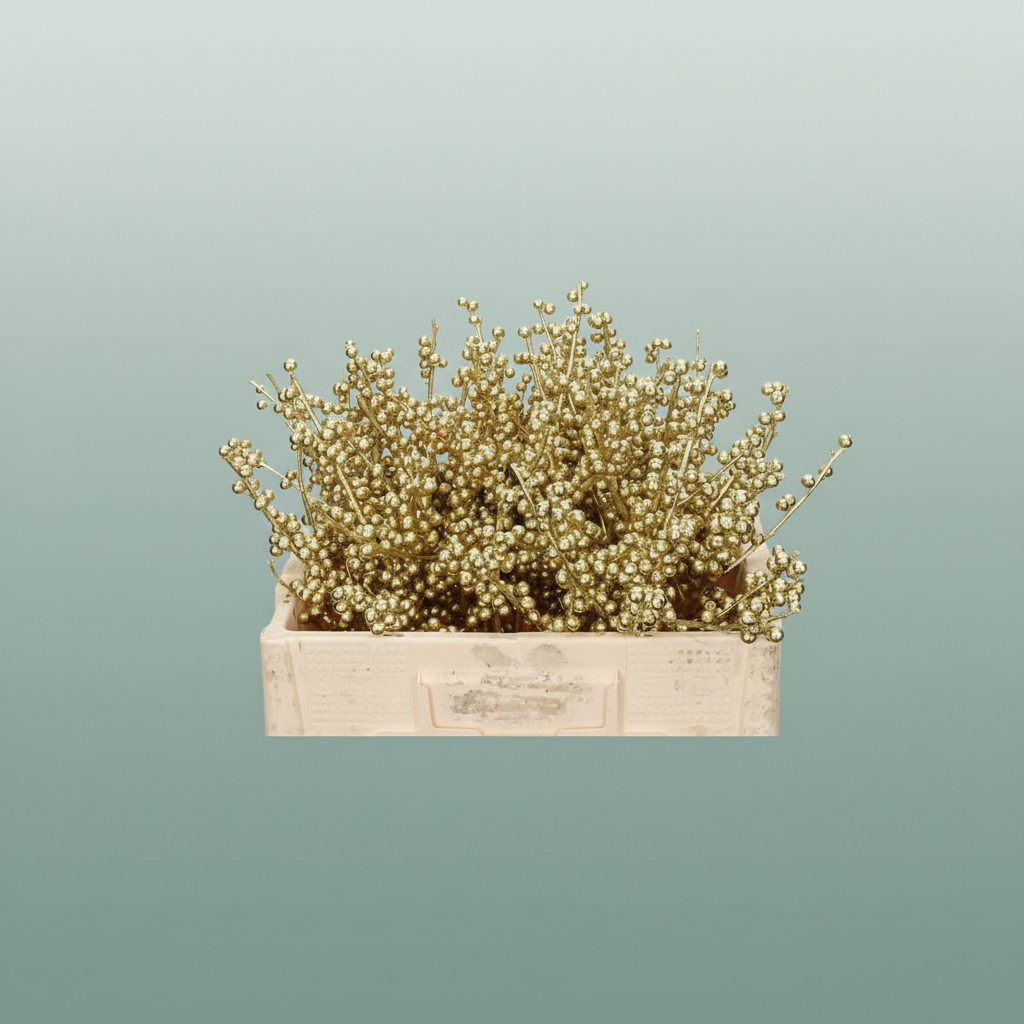 Wax Ilex Xl