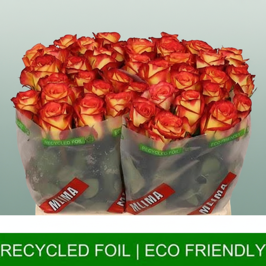 Rose - Rosa - Firefox