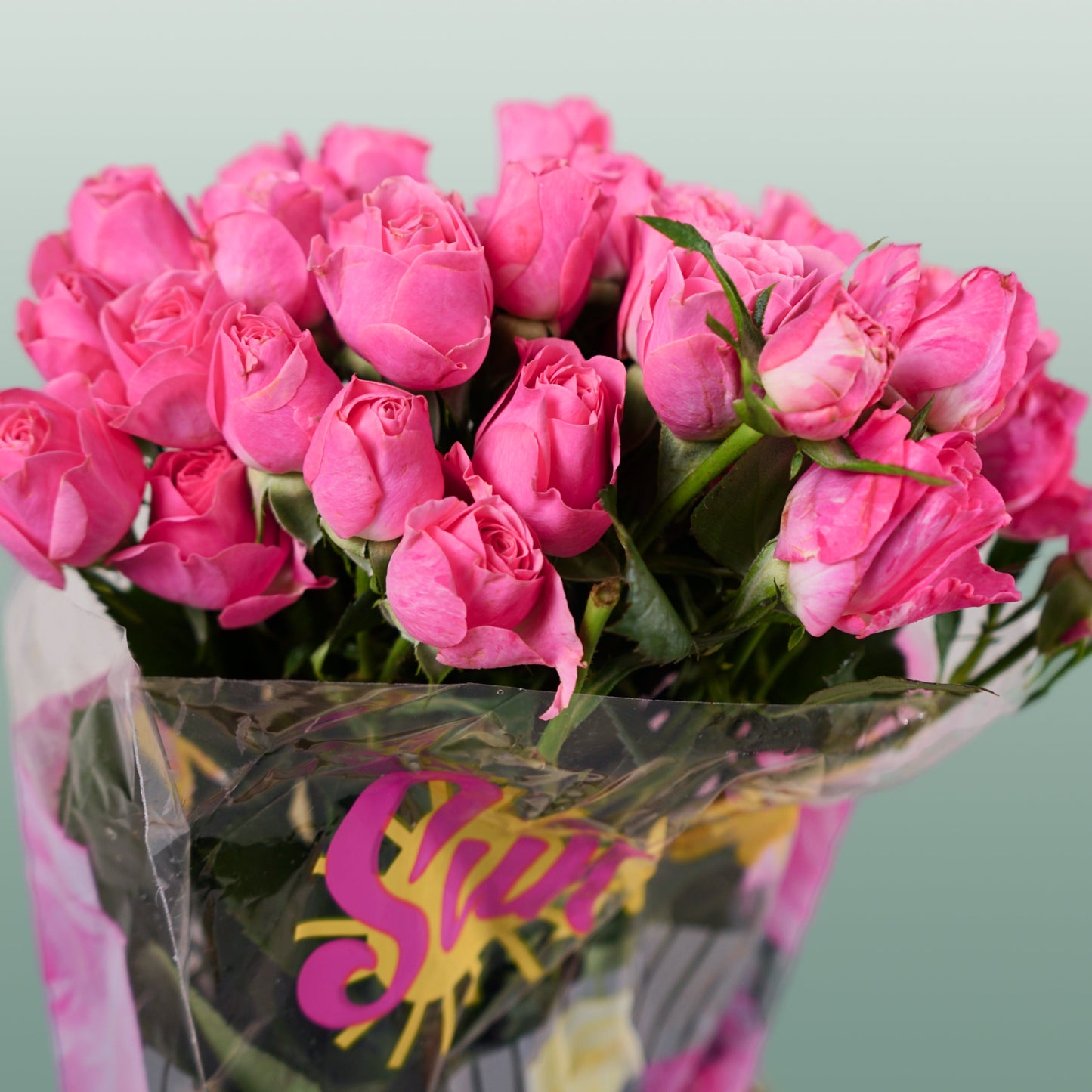 Spray Rose - Rosa - Lianne