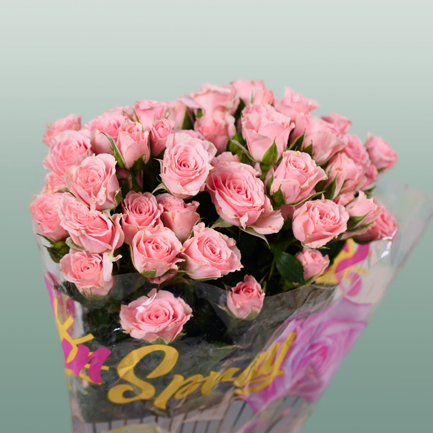 Spray Rose - Rosa - Lydia