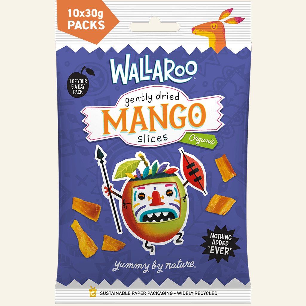 Organic Gently Dried Mango Slices
