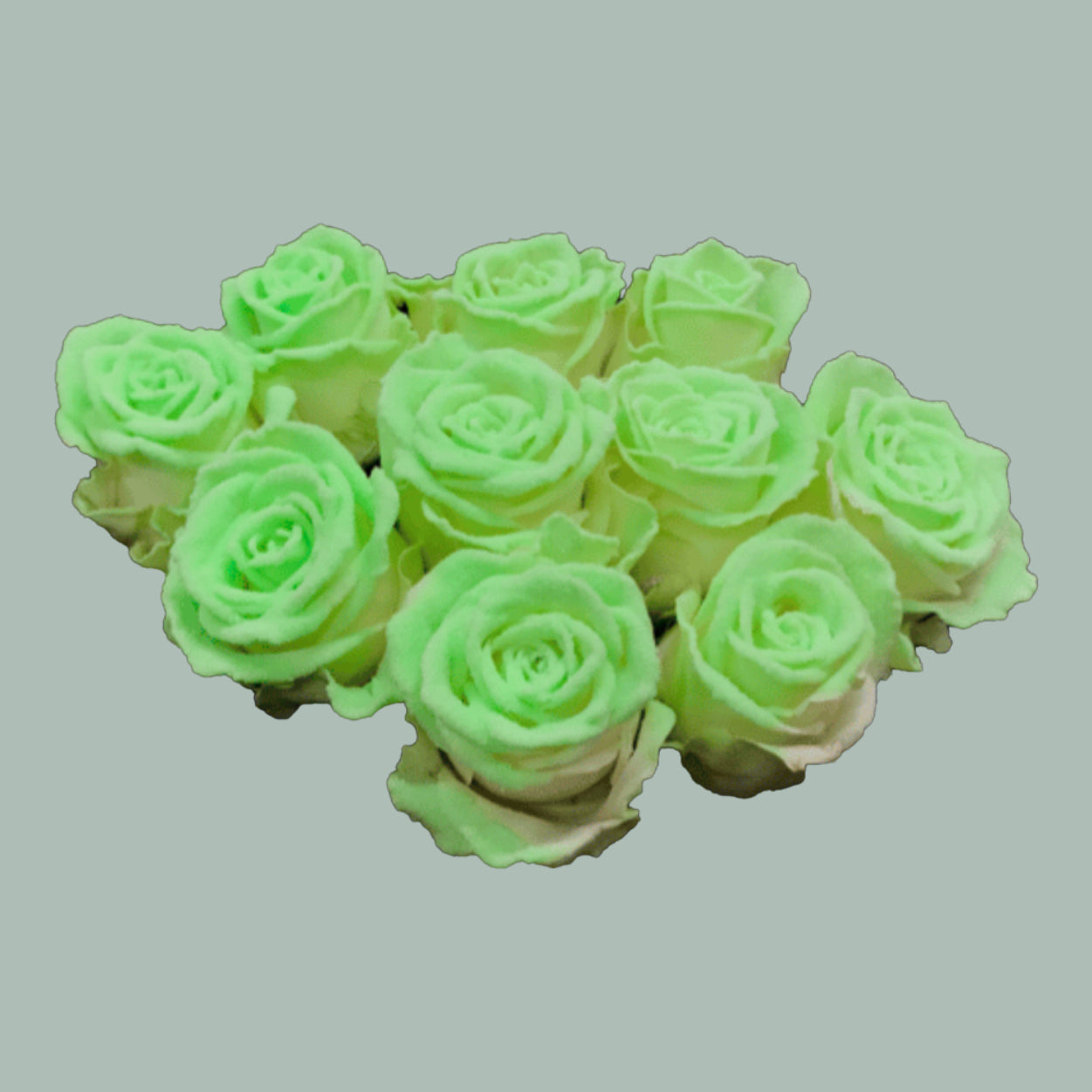 Rose Glow In The Dark (20 Stems)