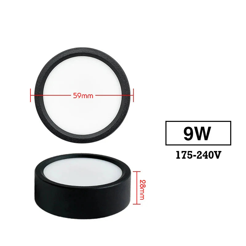 Led  220V Ceiling Downlights