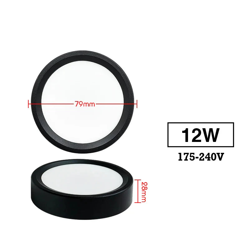 Led  220V Ceiling Downlights