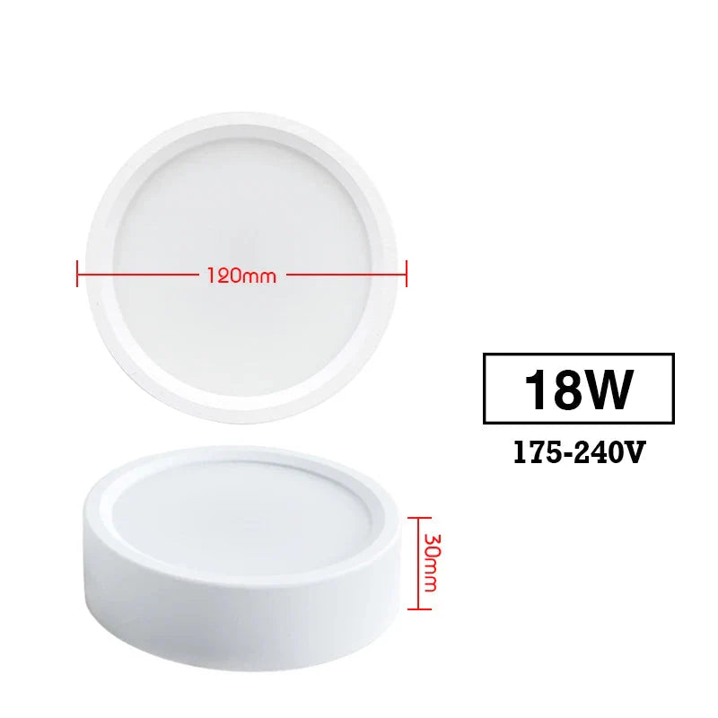 Led  220V Ceiling Downlights