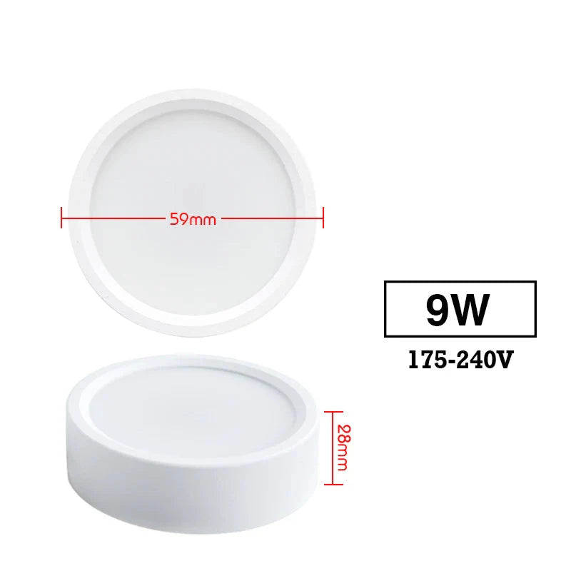 Led  220V Ceiling Downlights