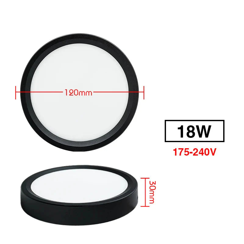 Led  220V Ceiling Downlights