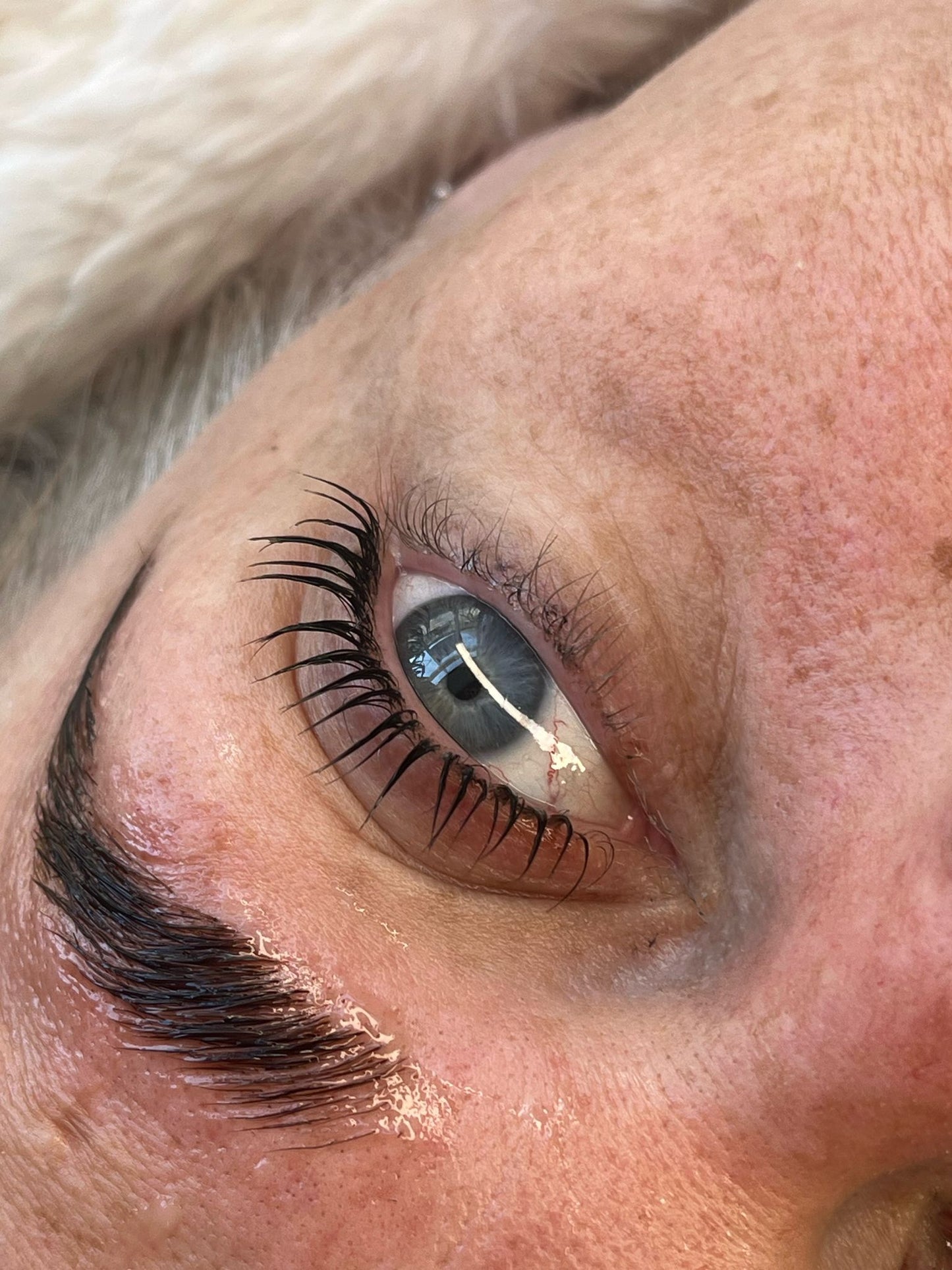 Sample Pack: Flutter and Frame Lash Lift and Brow Lamination
