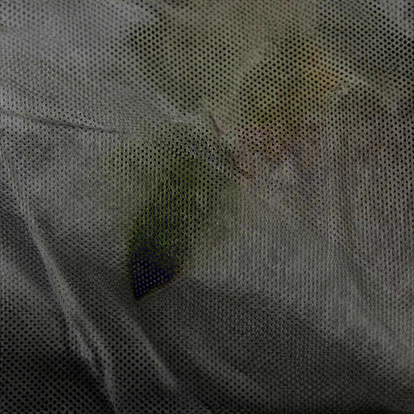 50gsm Weed Control Fabric