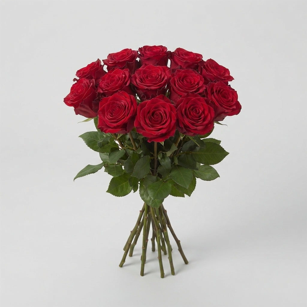 Rose Red Naomi Porta Nova