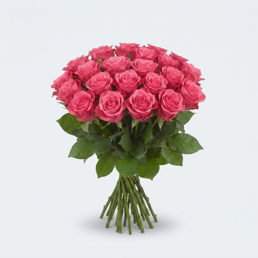 Rose - Rosa - Tacazzi+