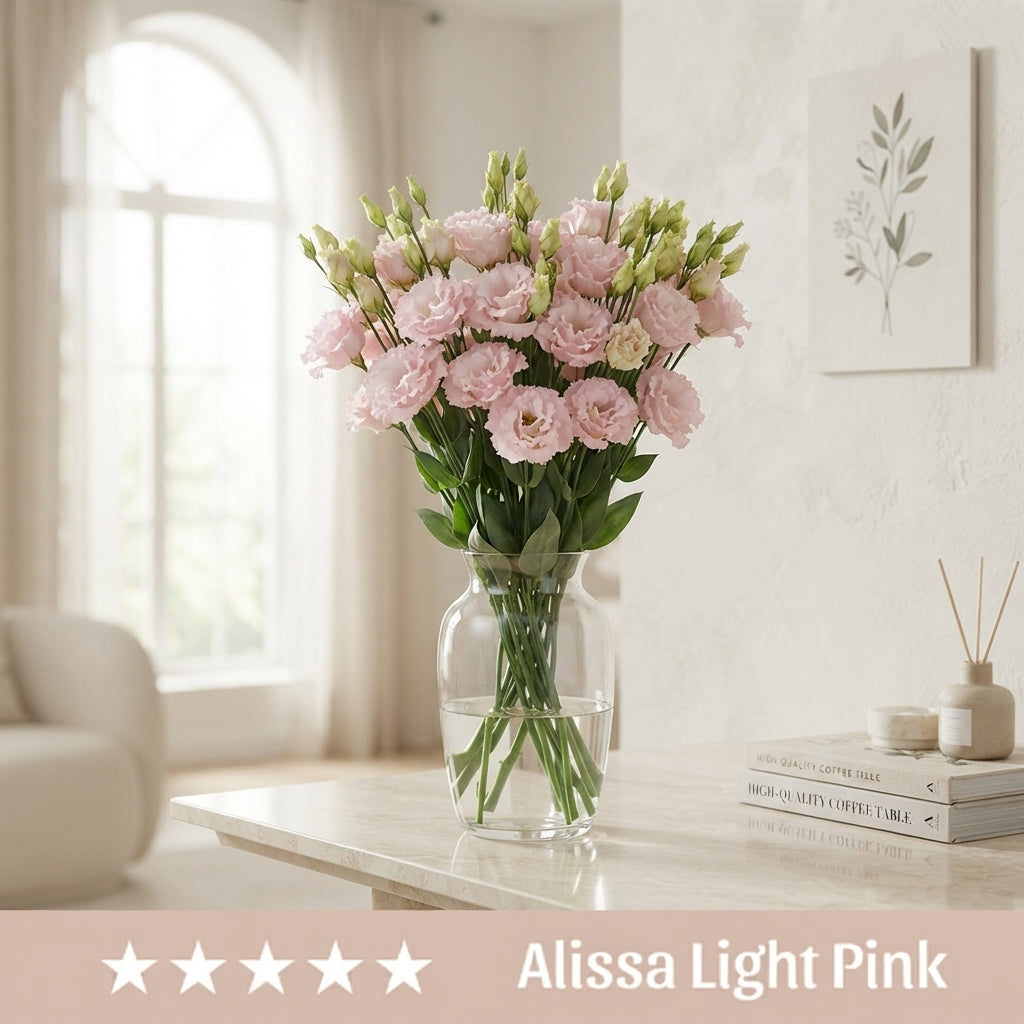 Lisianthus Alissa Light Pink